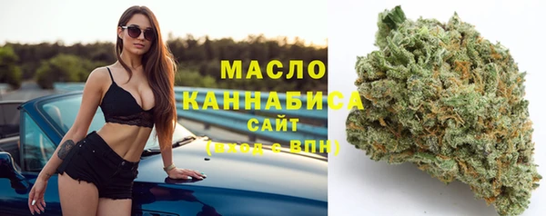 метадон Каменка