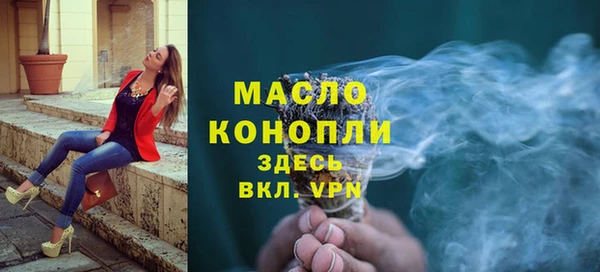 метадон Каменка