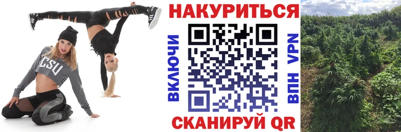 МАРИХУАНА Bruce Banner  Купить  Почеп 